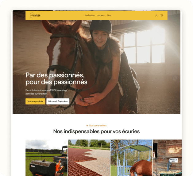 Prise en main par le marchand